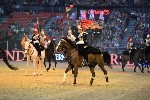 Cavalry - 00125